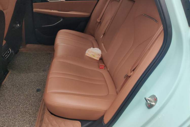 Used XPeng P5 2022 550P Left Rear Seat