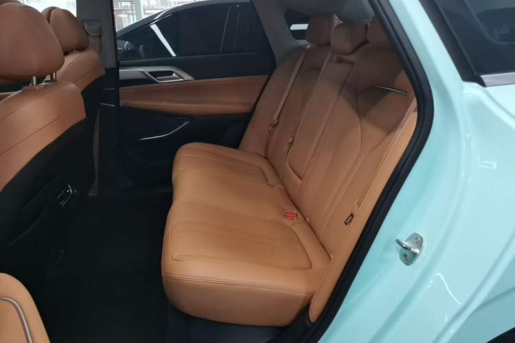 Used XPeng P5 2022 550E Left Rear Seat