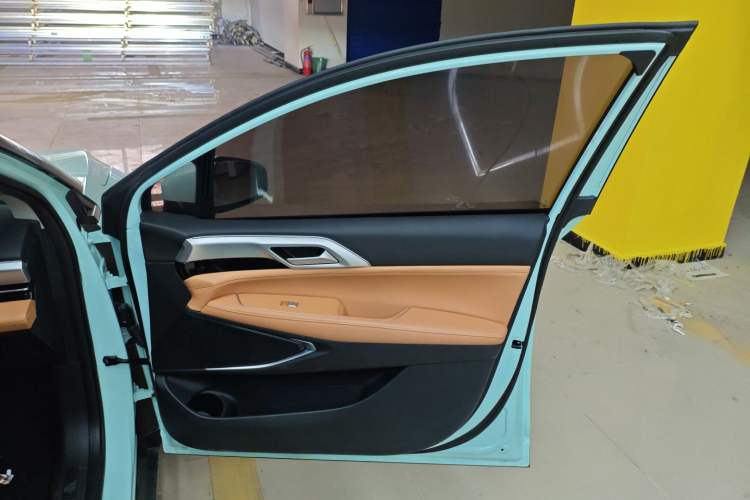 Used XPeng P5 2022 550E Right Front Door Interior