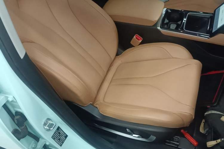 Used XPeng P5 2022 460E+ Right Front Seat