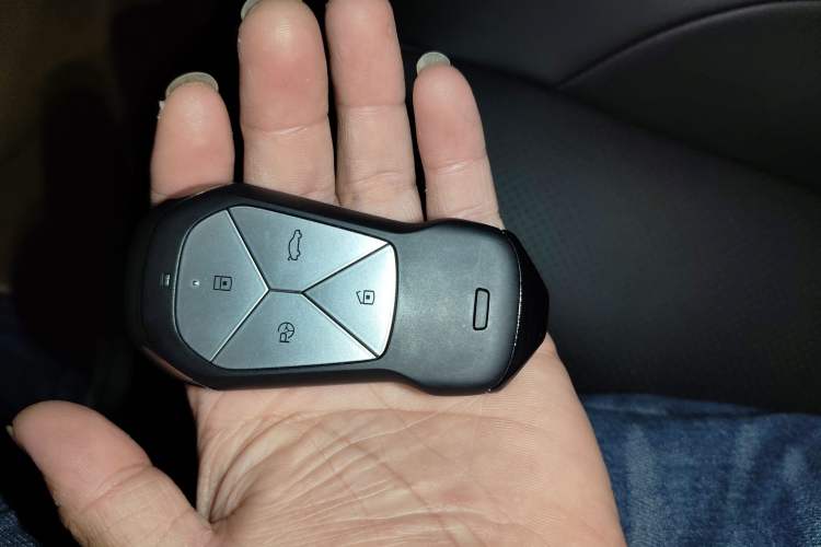 Used XPeng P5 2022 550P Vehicle Key