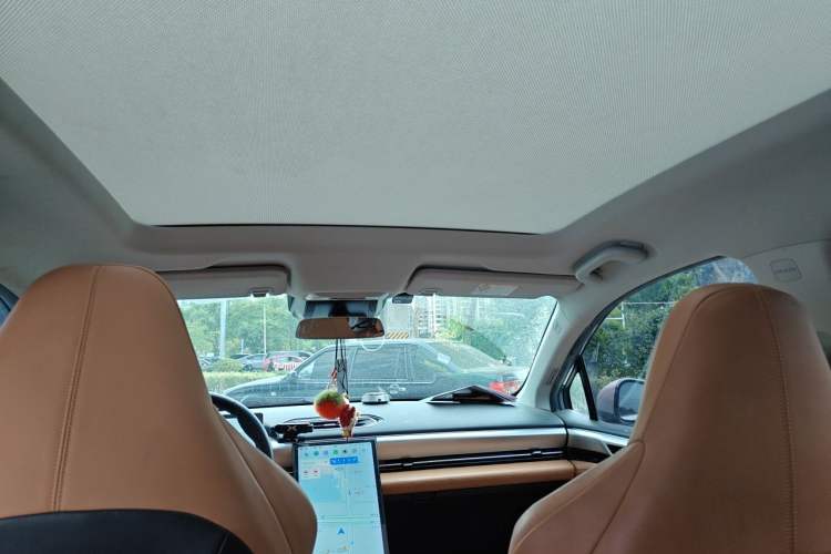 Used XPeng P5 2022 460P Headliner