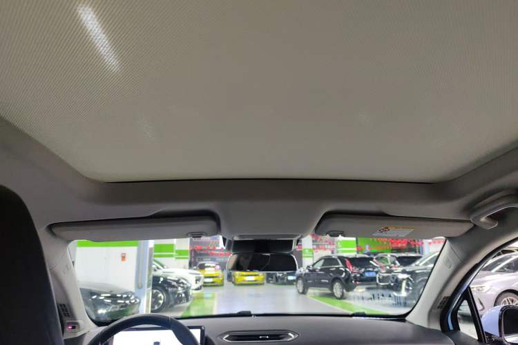 Used XPeng P5 2022 460E+ Headliner