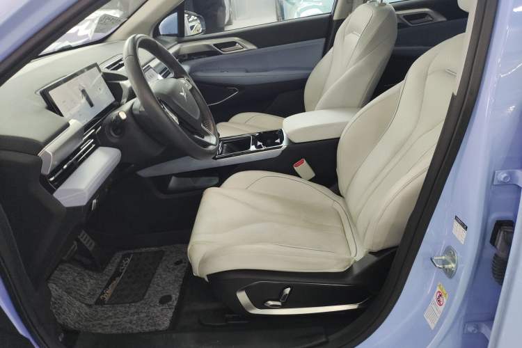 Used XPeng P5 2022 550E Left Front Seat