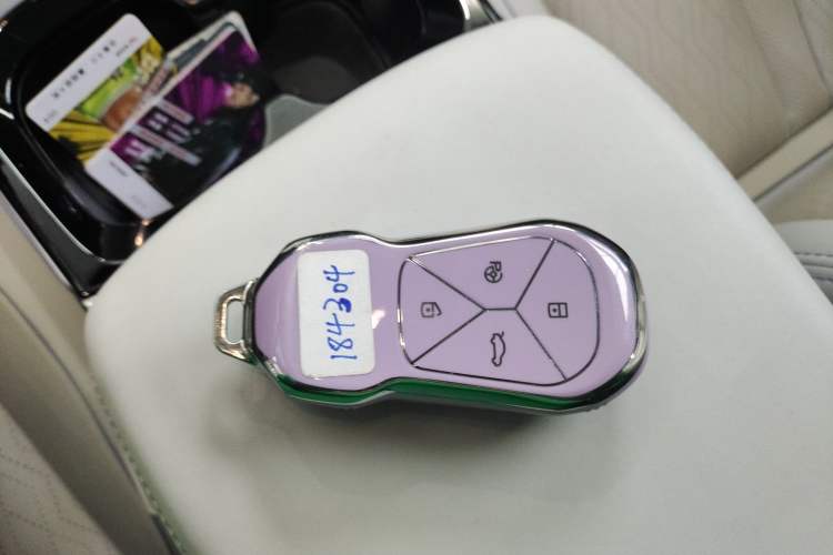 Used XPeng P5 2022 550E Vehicle Key