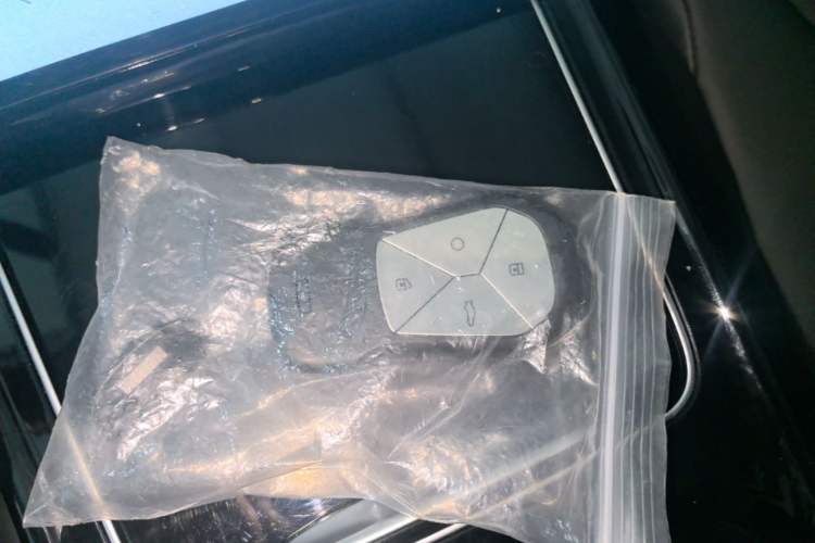 Used XPeng P5 2022 460E+ Vehicle Key