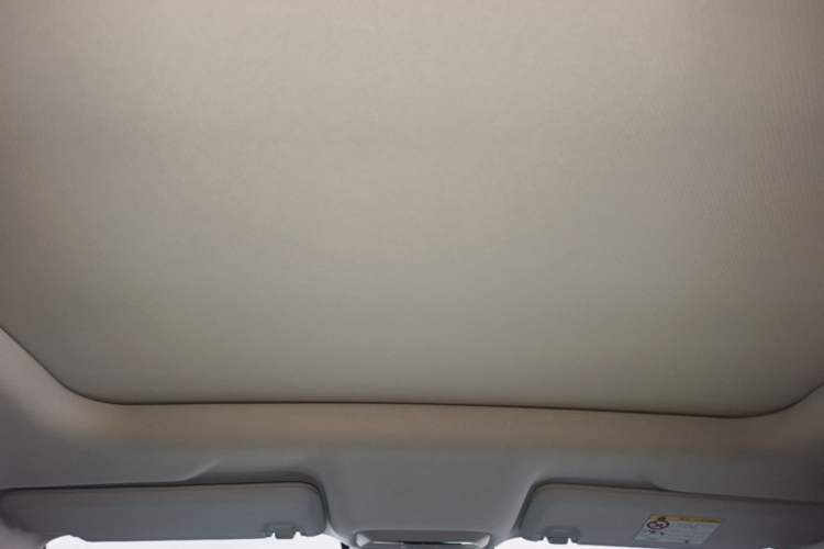 Used XPeng P5 2022 460E+ Headliner