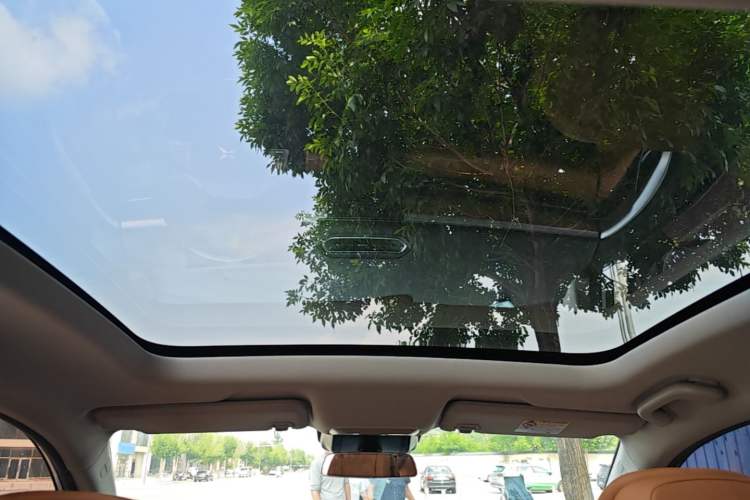 Used XPeng P5 2022 550E Headliner