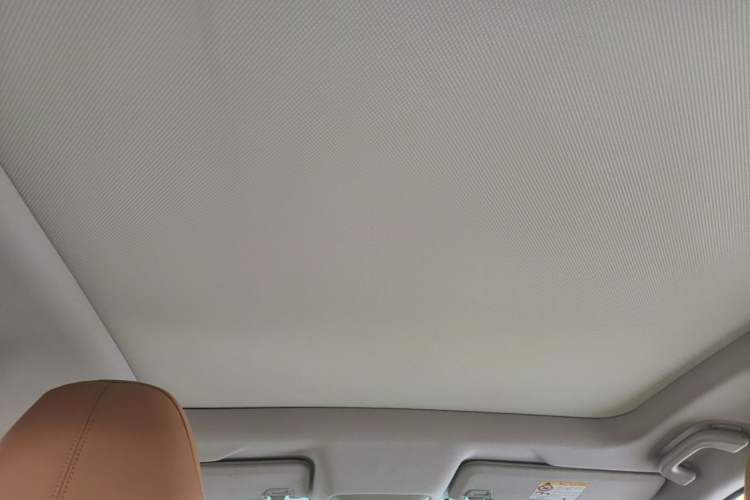 Used XPeng P5 2022 550E Headliner