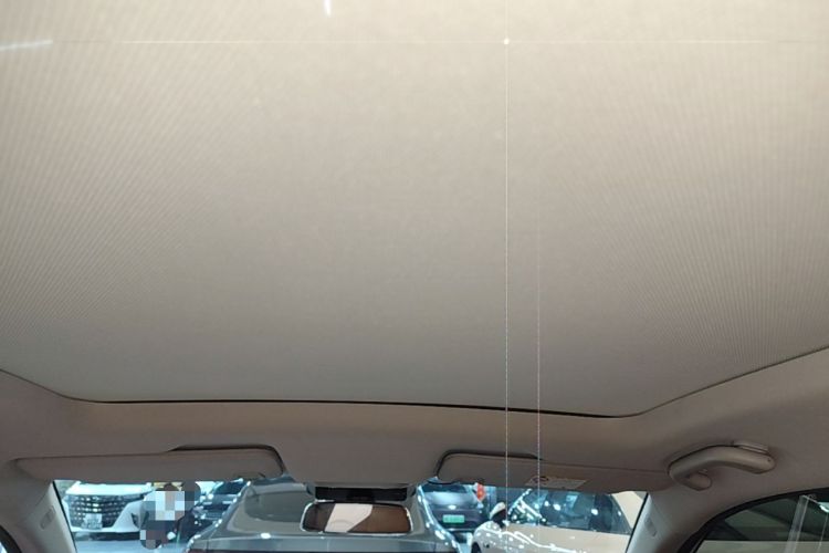 Used XPeng P5 2022 550P Headliner