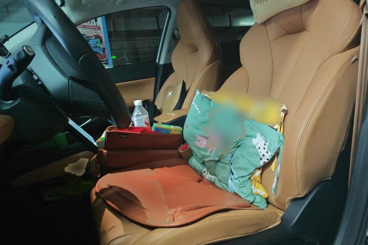 Used XPeng P5 2022 550E Left Front Seat