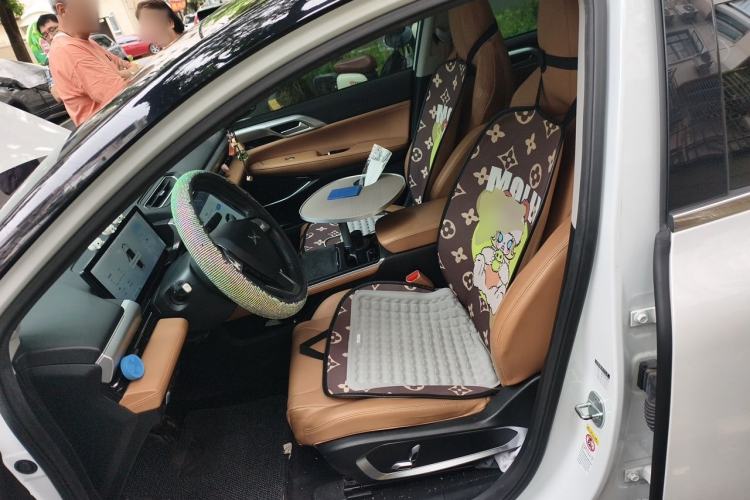 Used XPeng P5 2022 460E+ Left Front Seat