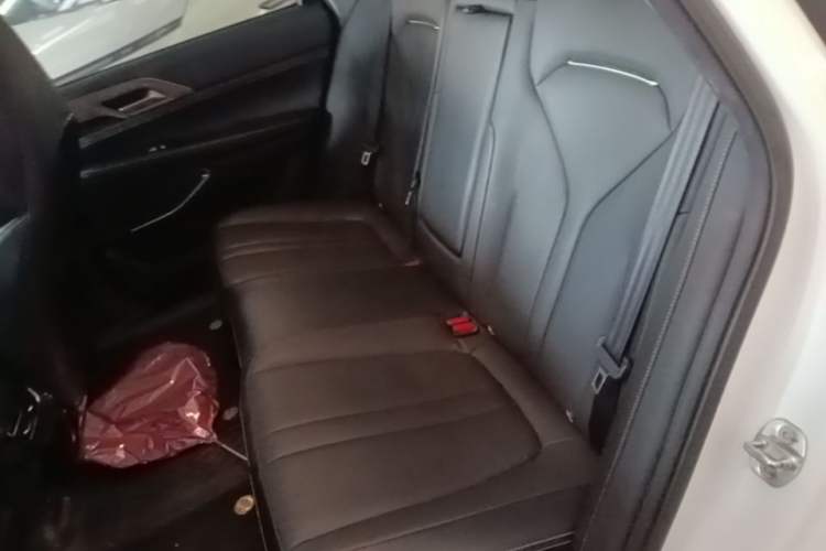 Used XPeng P5 2022 550E Left Rear Seat