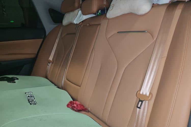 Used XPeng P5 2022 550E Left Rear Seat