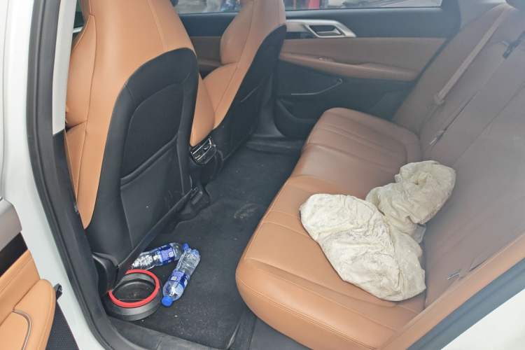 Used XPeng P5 2022 550E Left Rear Seat