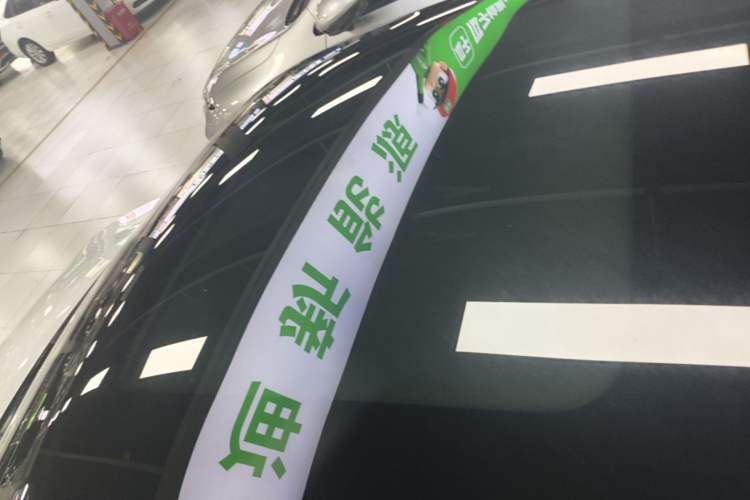 Used XPeng P5 2022 460E+ Roof