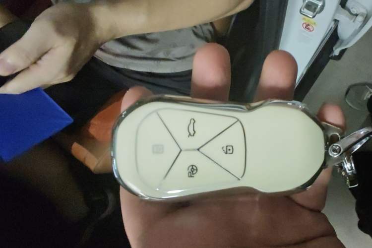 Used XPeng P5 2022 550E Vehicle Key