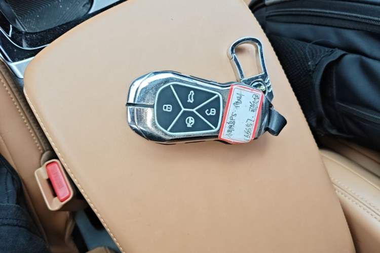 Used XPeng P5 2022 550P Vehicle Key