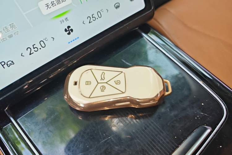 Used XPeng P5 2022 550E Vehicle Key