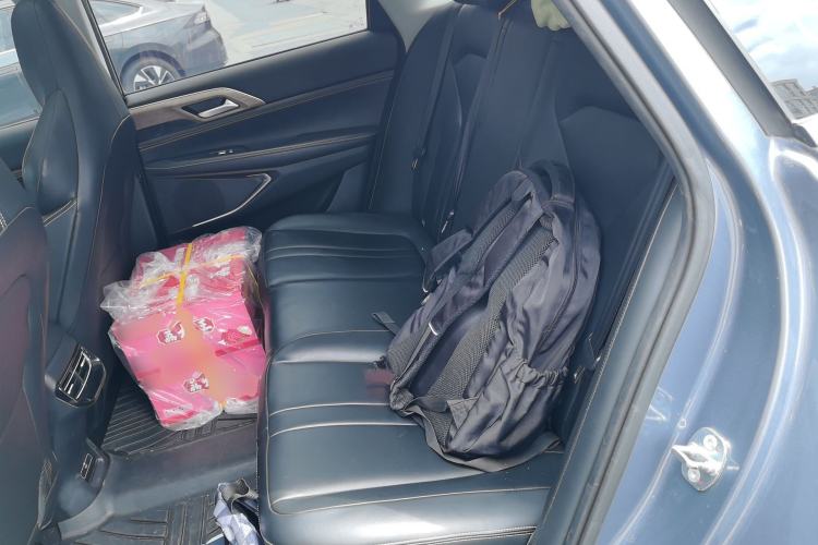 Used XPeng P5 2023 Smart Drive Edition Left Rear Seat