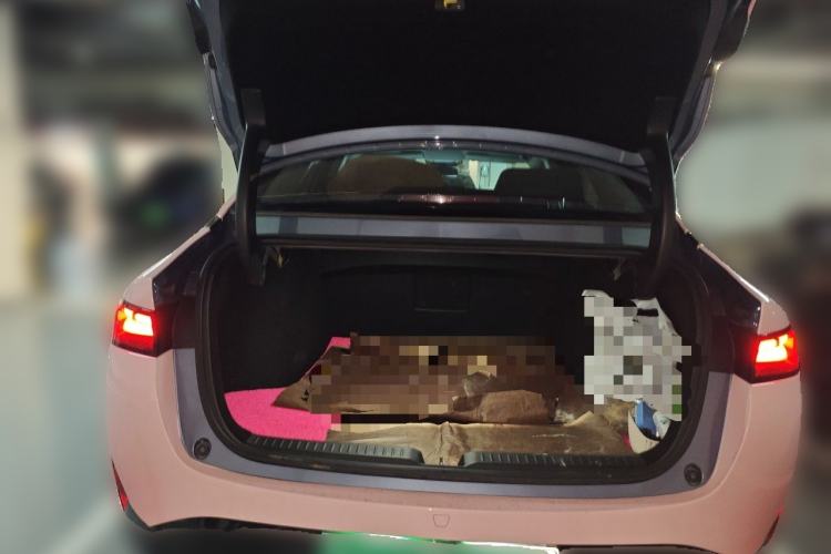Used XPeng P5 2023 Smart Drive Edition Trunk