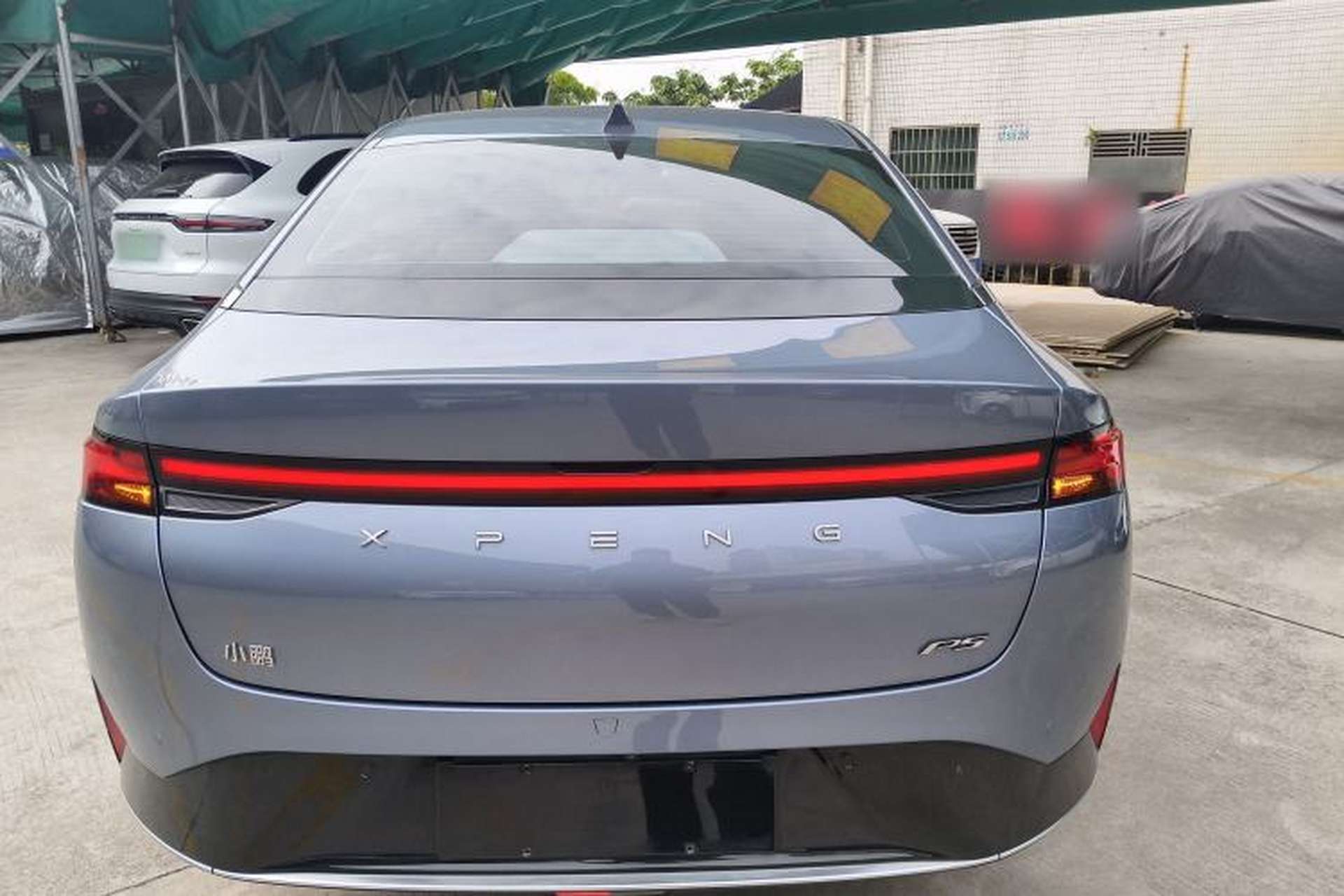 Used XPeng P5 2023 Smart Drive Edition Rear