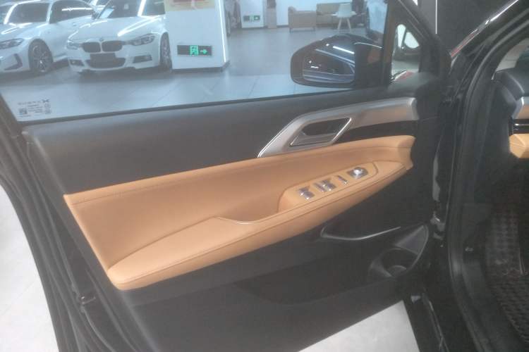 Used XPeng P5 2024 500 Plus Edition Left Front Door Interior