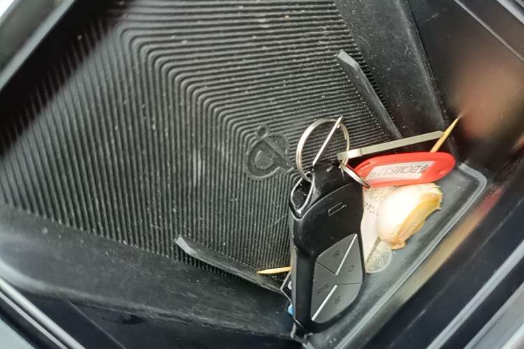 Used XPeng P5 2024 500 Smart Drive Edition Vehicle Key
