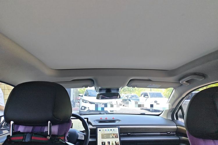 Used XPeng P5 2024 500 Pro Edition Headliner