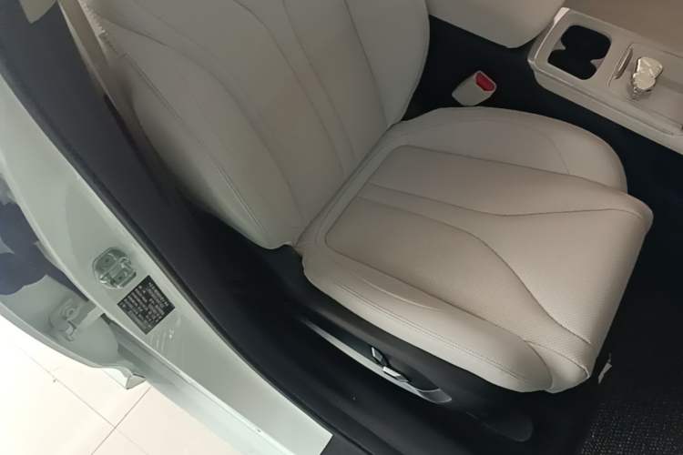 Used XPeng P5 2024 500 Smart Drive Edition Right Front Seat