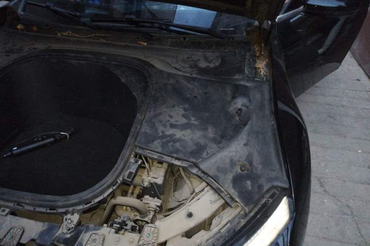 Used XPeng P7 2020 706G Engine Bay Left