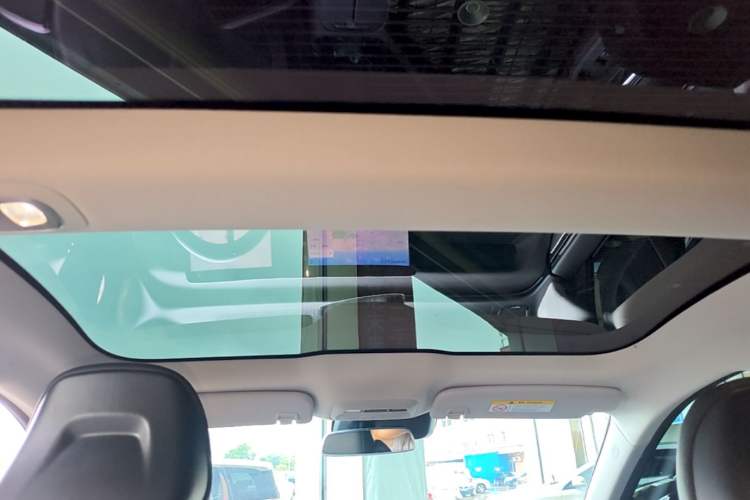 Used XPeng P7 2020 670N Headliner