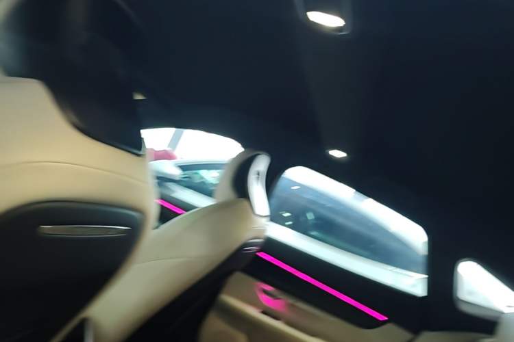 Used XPeng P7 2020 670E Headliner