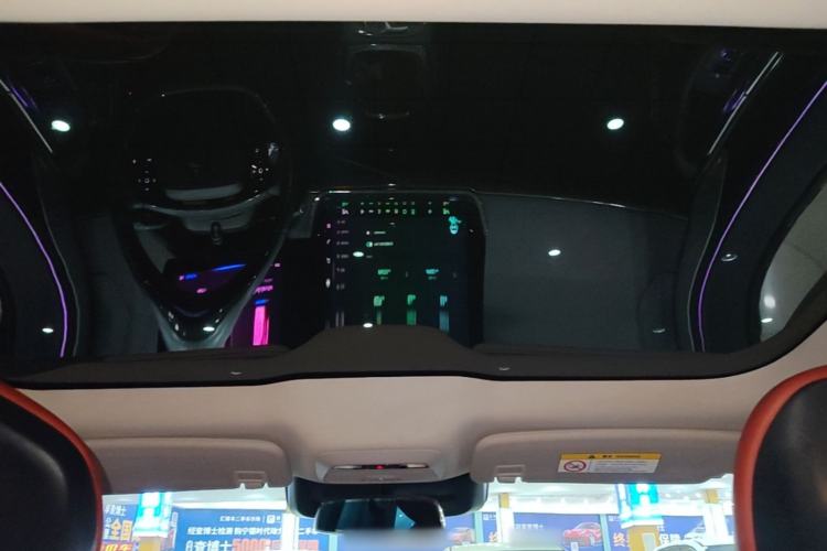 Used XPeng P7 2020 586E Headliner