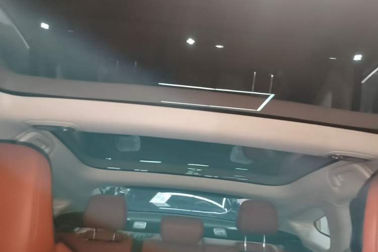 Used XPeng P7 2020 670E Headliner