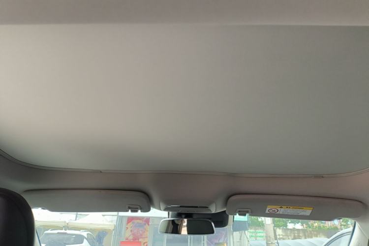 Used XPeng P7 2020 586N Headliner