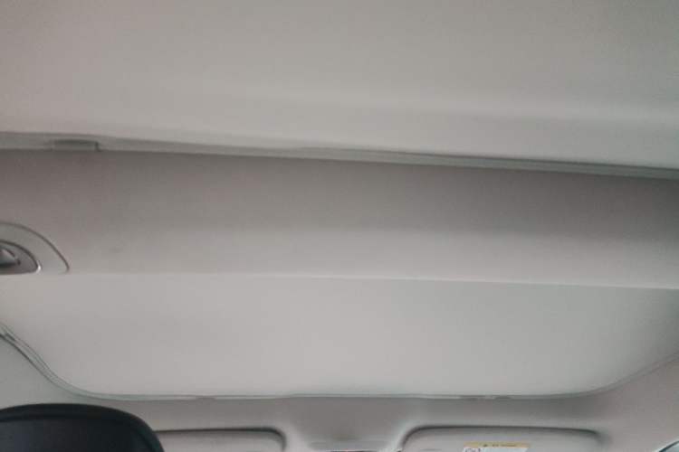 Used XPeng P7 2020 586N Headliner