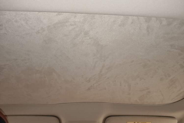 Used XPeng P7 2020 670E Headliner