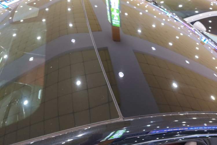 Used XPeng P7 2020 586E Roof