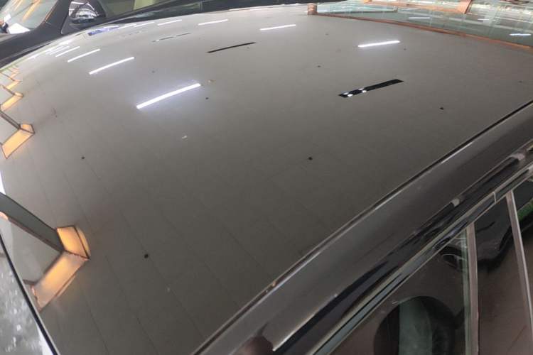 Used XPeng P7 2020 586E Roof