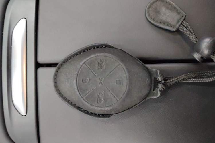 Used XPeng P7 2020 670E Vehicle Key