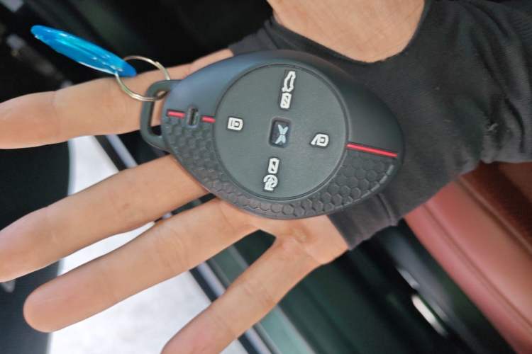 Used XPeng P7 2020 586E Vehicle Key