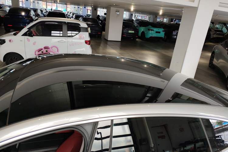 Used XPeng P7 2020 670E Roof
