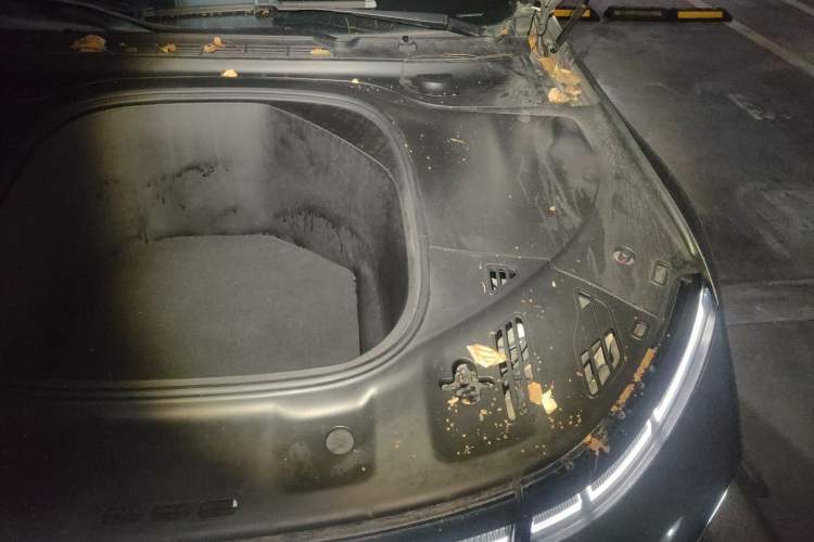 Used XPeng P7 2020 706G Engine Bay Left