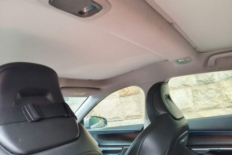 Used XPeng P7 2020 670N Headliner