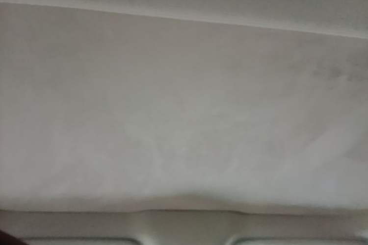 Used XPeng P7 2020 562N Performance Edition Headliner