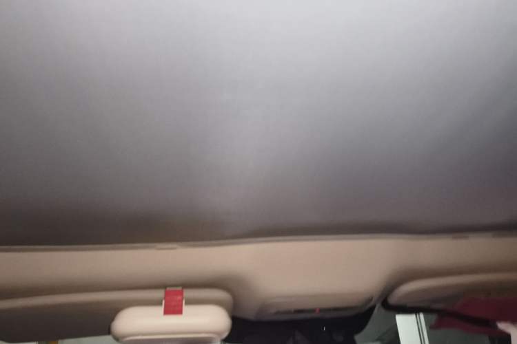 Used XPeng P7 2020 586E Headliner