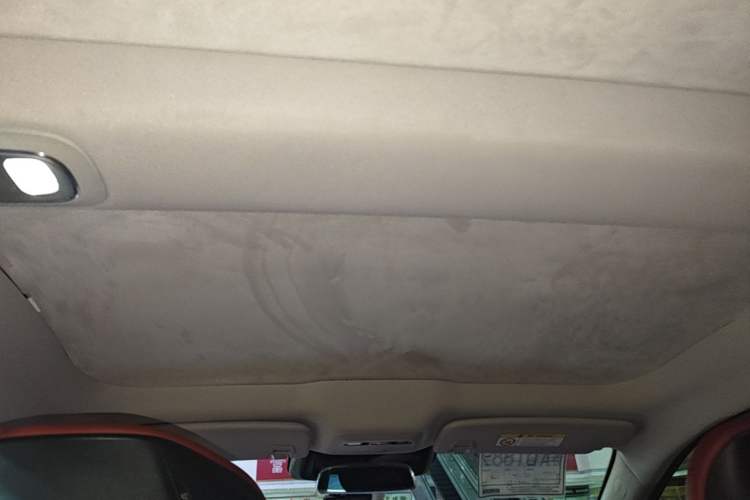 Used XPeng P7 2020 670E Headliner