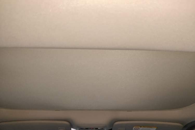 Used XPeng P7 2020 586N Headliner