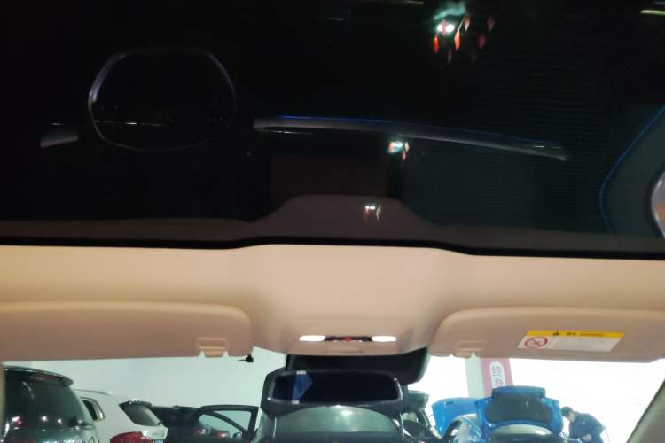Used XPeng P7 2020 706G Headliner